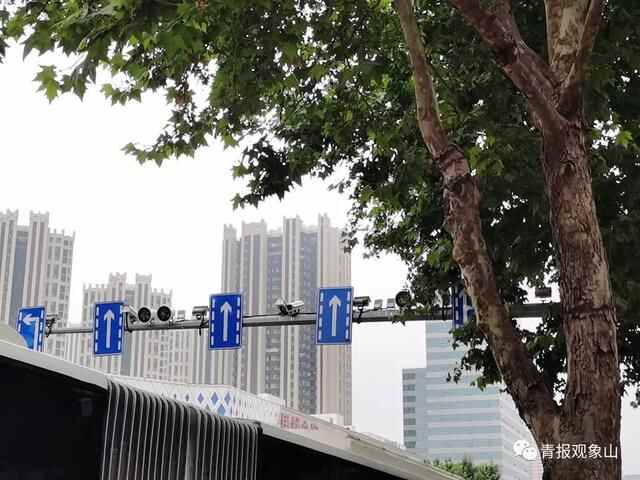 再获“中国最具幸福感城市”！什么是青岛这座城的“幸福密码”？