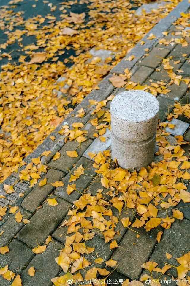 青岛宝藏赏秋地，错过一个都可惜！