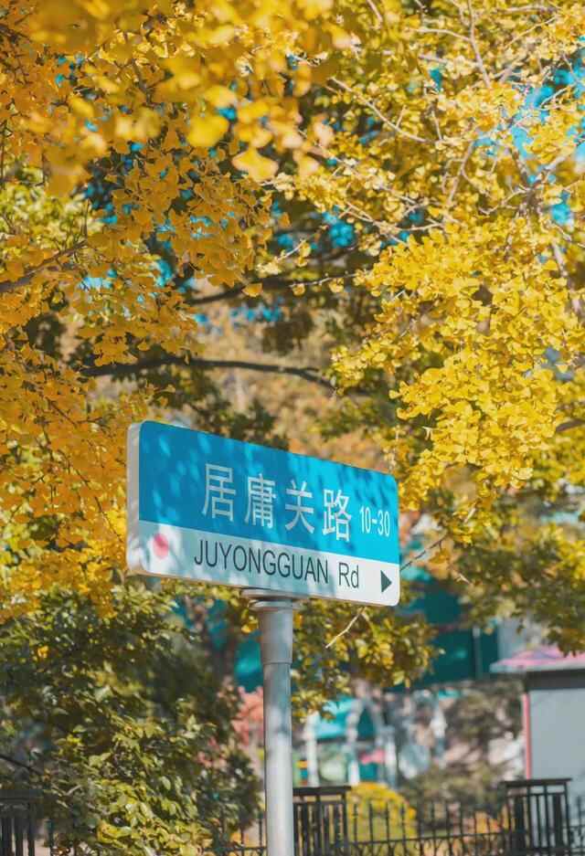 青岛宝藏赏秋地，错过一个都可惜！