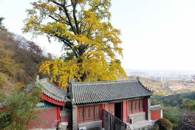 青岛宝藏赏秋地，错过一个都可惜！