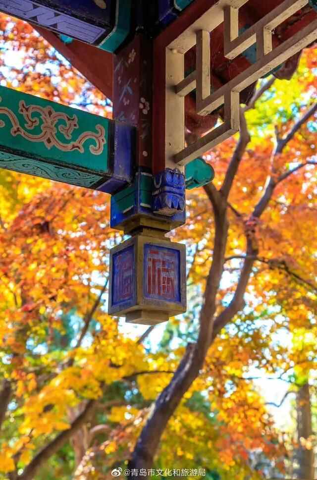 青岛宝藏赏秋地，错过一个都可惜！
