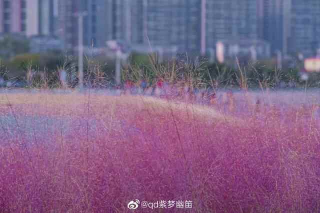 青岛宝藏赏秋地，错过一个都可惜！