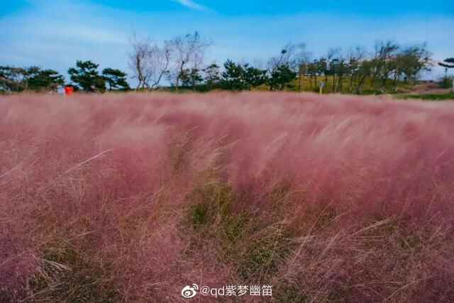青岛宝藏赏秋地，错过一个都可惜！