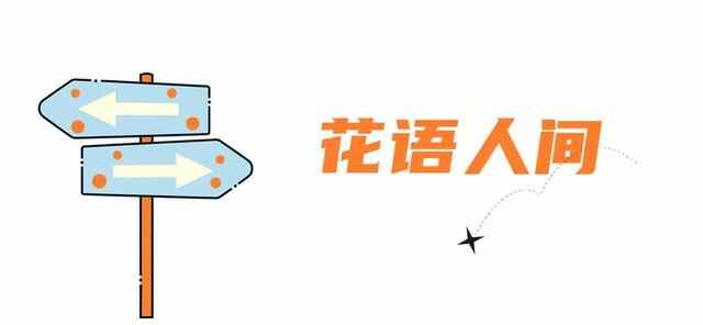 青岛宝藏赏秋地，错过一个都可惜！