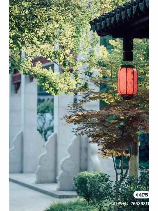 人在青岛，周游天下