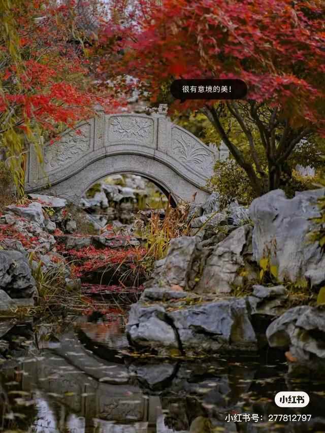 人在青岛，周游天下