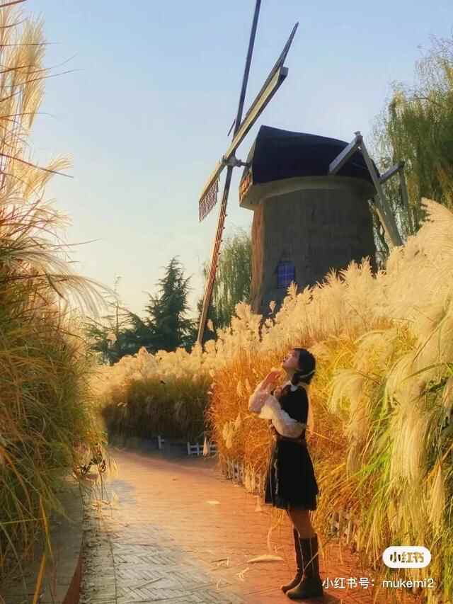 人在青岛，周游天下