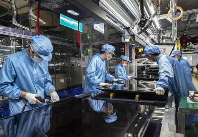 明星代言、主播助阵……站上“流量入口”，这个双11，青岛火了