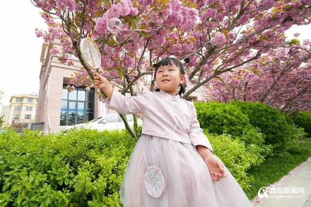 在这里相约四季！李沧区九水街道首届休闲文化节启幕