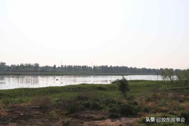 胶东地理：为何平度能成为山东省面积最大的县级市？