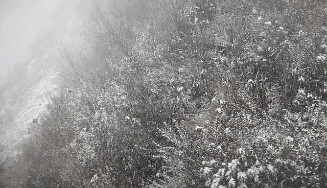 这不是降温，是速冻！北京河南已经下雪！北方都在降温，来看咱青岛——