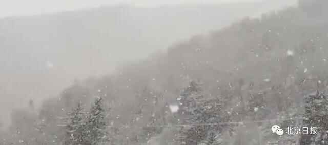 这不是降温，是速冻！北京河南已经下雪！北方都在降温，来看咱青岛——