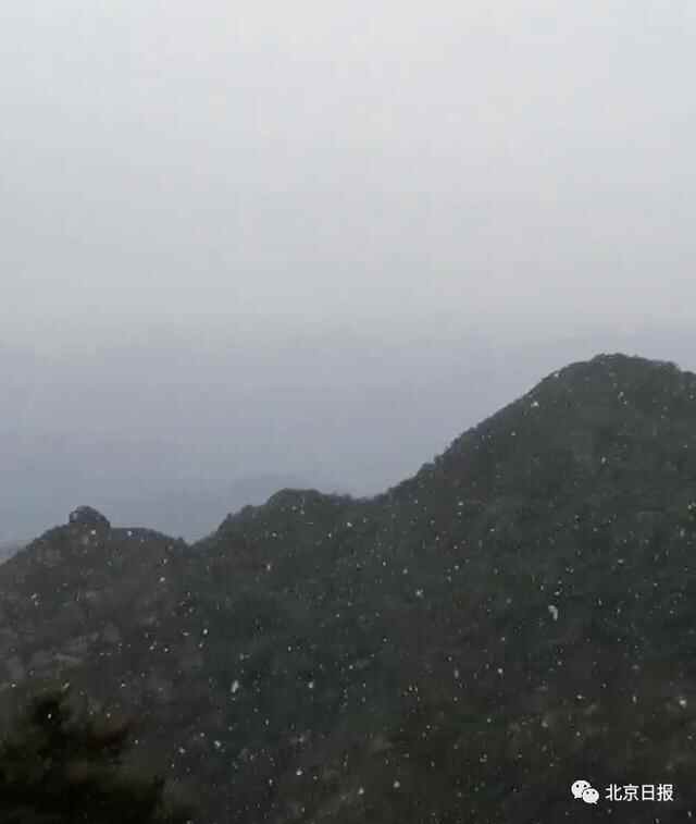 这不是降温，是速冻！北京河南已经下雪！北方都在降温，来看咱青岛——