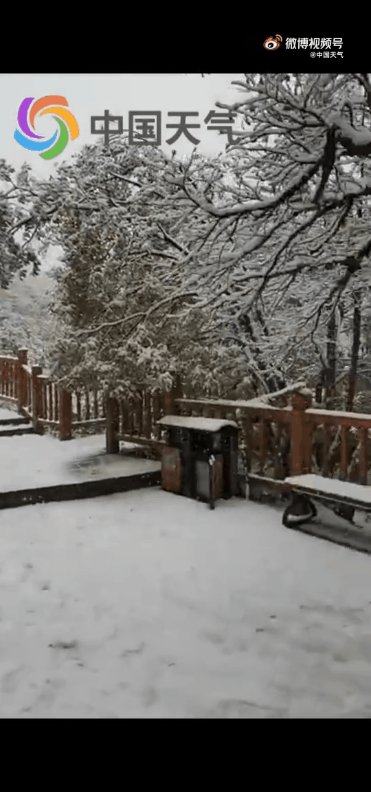 这不是降温，是速冻！北京河南已经下雪！北方都在降温，来看咱青岛——