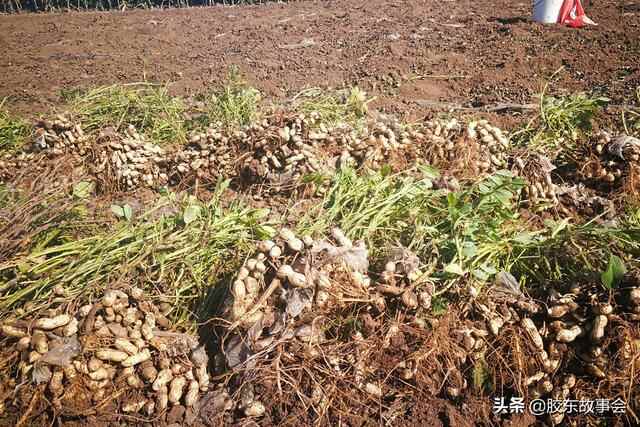 胶东地理：莱西是个内陆县市，它距离大海最近的地方是哪里？