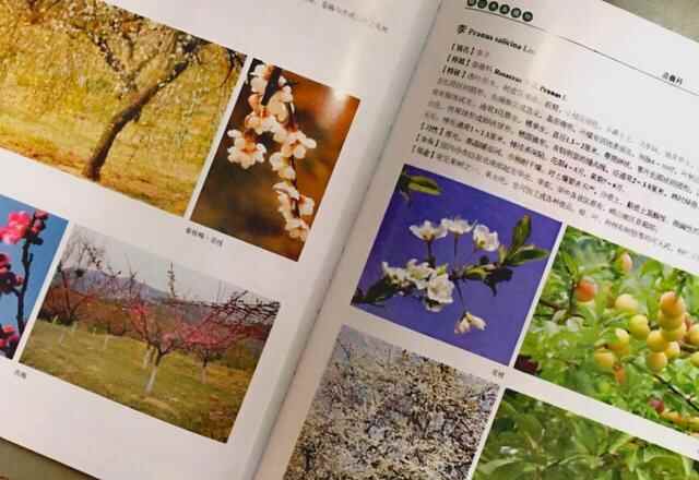 仙气与灵气在此汇聚，这里是海上名山第一——崂山！