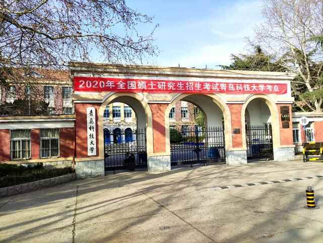 青岛这所大学的樱花开了，今年没有赏花人，只有寂寞冷