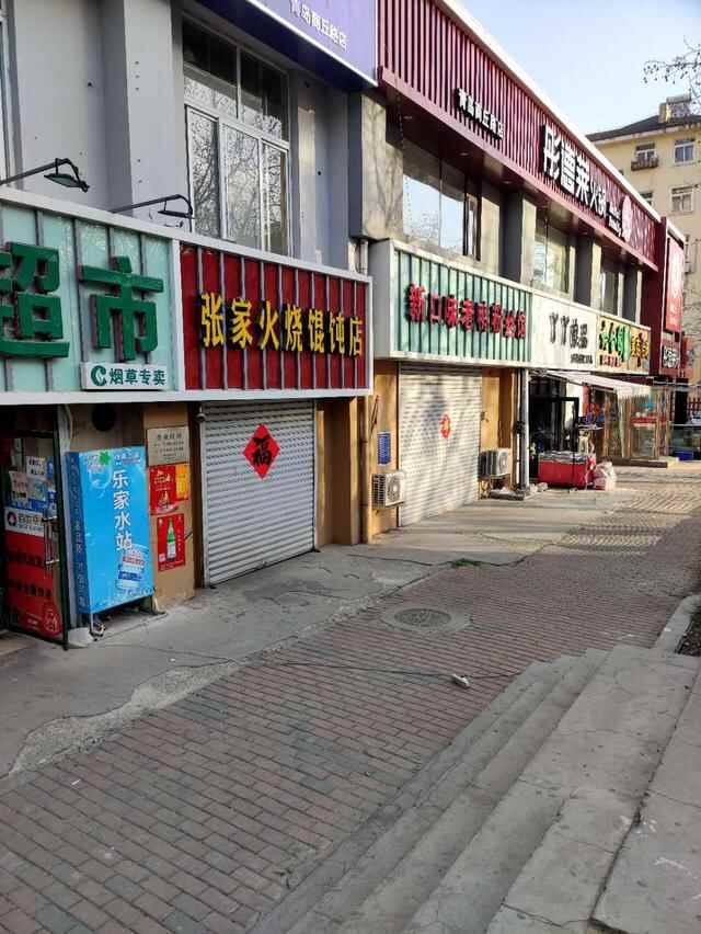 青岛这所大学的樱花开了，今年没有赏花人，只有寂寞冷