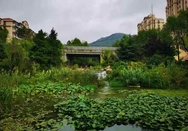 青山绿水崂山边，宜业宜居之空间