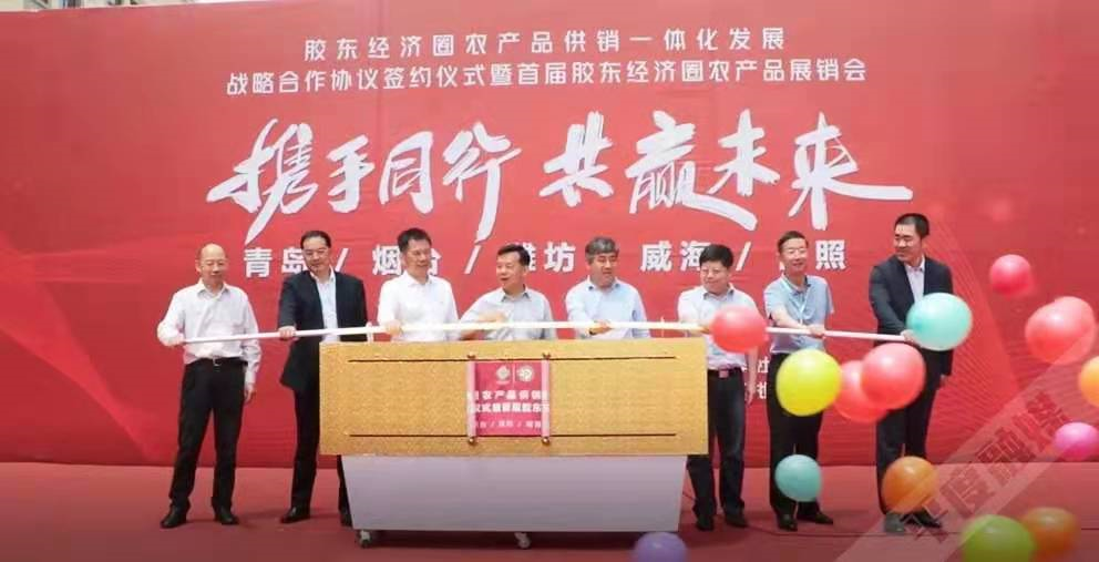 山东平度：高端元素云集让“会客厅”成色更足“桥头堡”实力更强