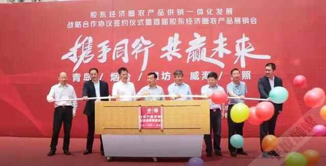 山东平度：高端元素云集让“会客厅”成色更足“桥头堡”实力更强