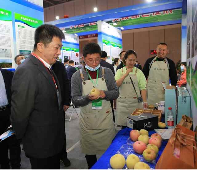 胶州市在第十七届中国林产品交易会上获佳绩
