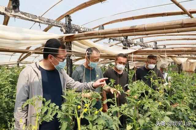 「下沉一线办实事」传承九三精神 扶贫帮困送温暖——九三学社莱西市委员会践行作风...