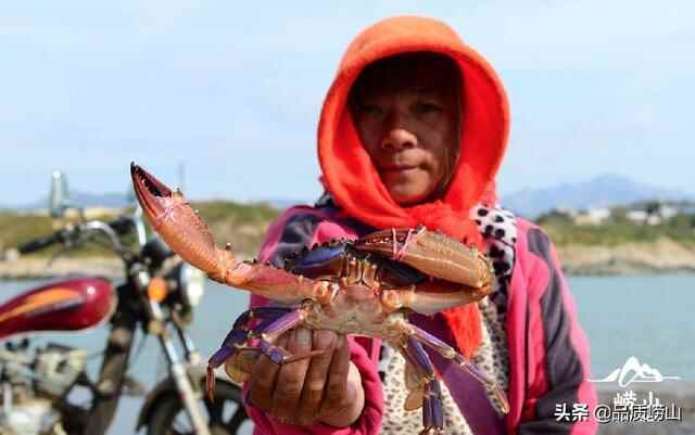 寻味崂山 乐享生活丨真香警告，带你解锁崂山必吃美食