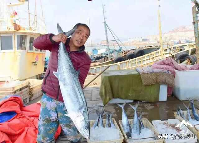 寻味崂山 乐享生活丨真香警告，带你解锁崂山必吃美食