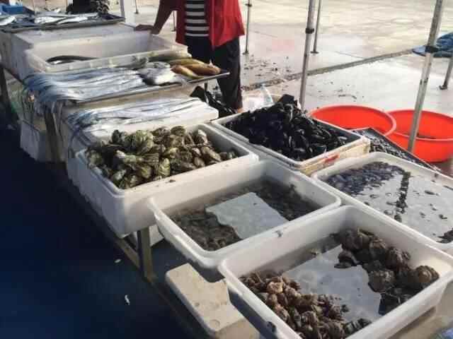 黄岛吃海鲜必修课，如何好吃又划算？