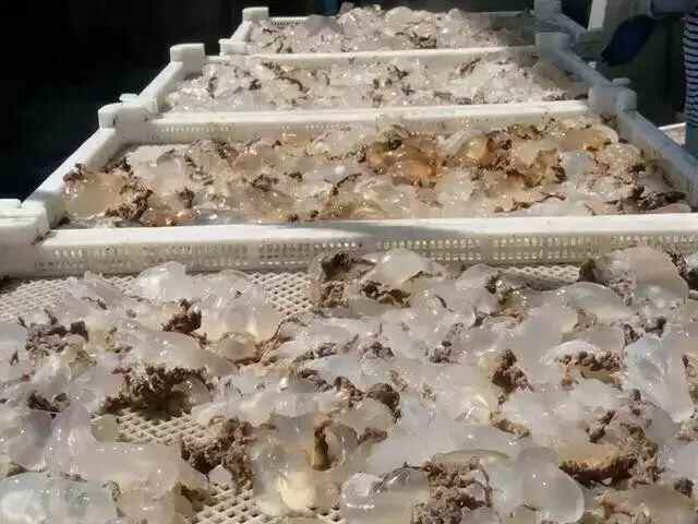 这些崂山的美食不仅好吃，更是传承至今的非物质文化遗产