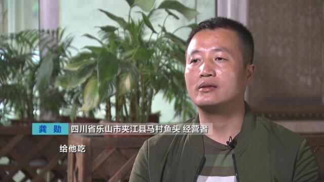 四川乐山：马村鱼头、火炕子腌肉...夹江美食，香飘四方