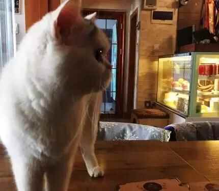 食在李沧｜从清晨吃到夜幕，大李沧真的“很好吃”！
