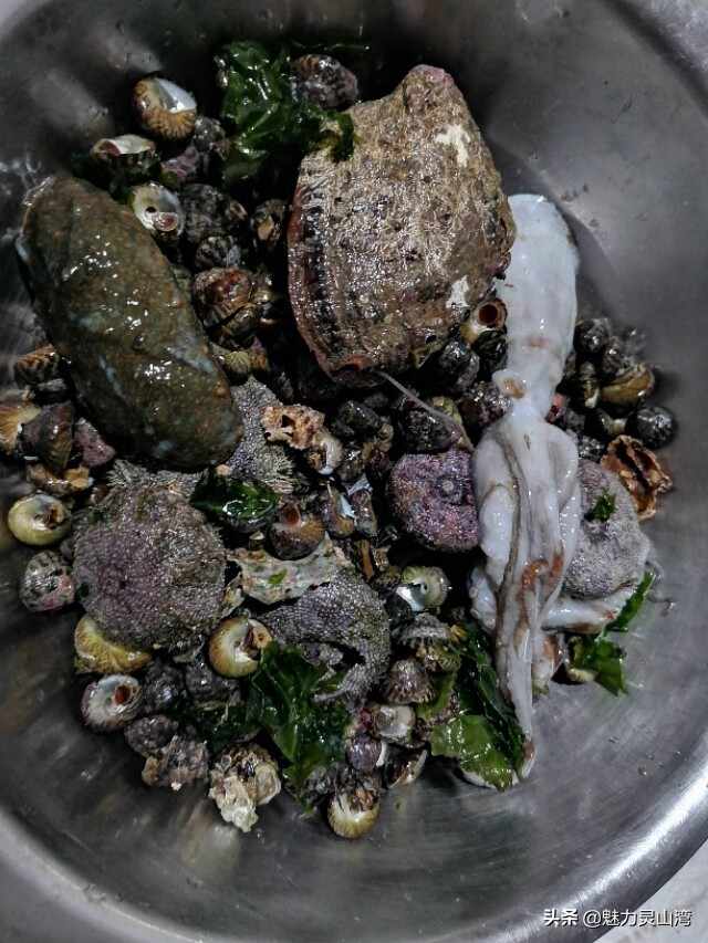 青岛胶南全国最幸福的养老地，海边垂钓捡海鲜，有吃有喝不花钱