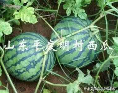 平度美食攻略，必吃的十大美食，你吃过几种？