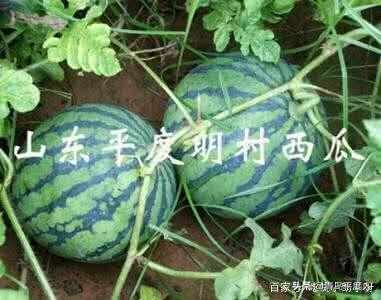 平度美食攻略，必吃的十大美食，你吃过几种？