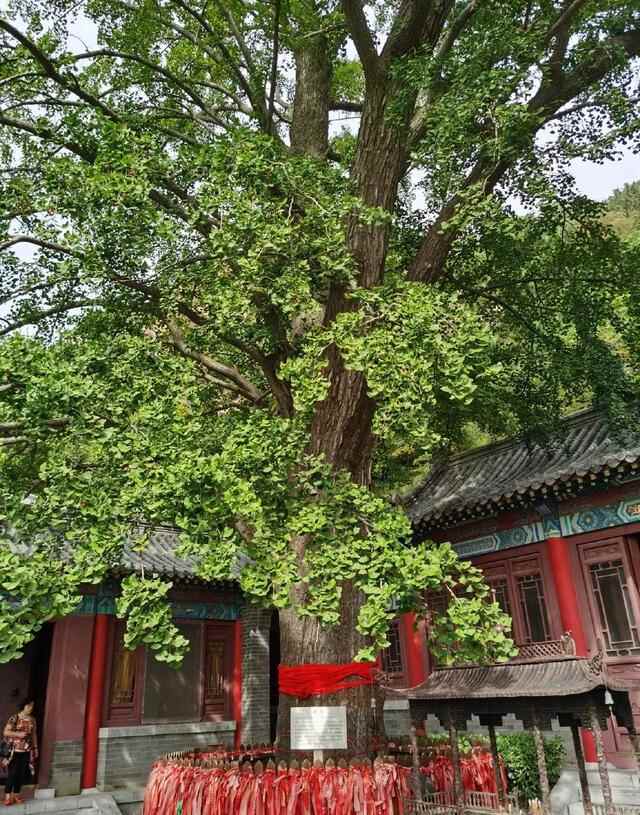 网红打卡地！在李沧度过24小时，不浪费1分1秒