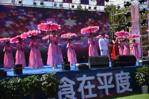 第二届中国养生美食文化节在平度开幕