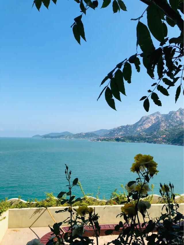舌尖上的崂山美食、藏在崂山风景区内……
