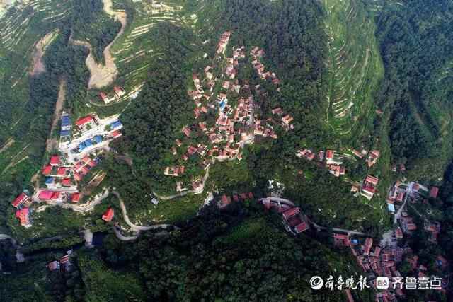 淄博：又是一年丰收时 乡村振兴正起势