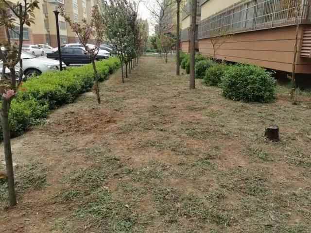 快看！临淄这些地方变化太大了