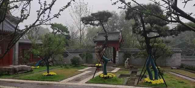 巡行博山地标之…姚家峪 图文/王家国