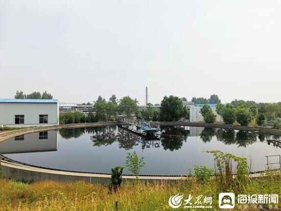 环保世纪行②丨淄川：深化“全员环保”工作机制 建设生态文明高地