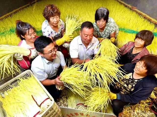 深入学习贯彻省第十二次党代会精神 | 集体经济发展跑出沂源“加速度”