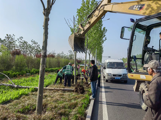 桓台县交通运输局：农村公路大提升 路域环境展新颜