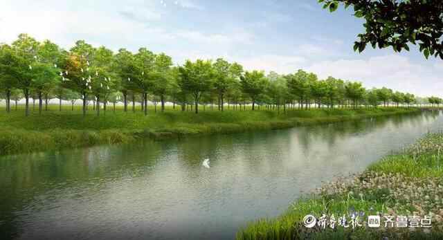 高青：“全域公园”赋能“全域振兴”