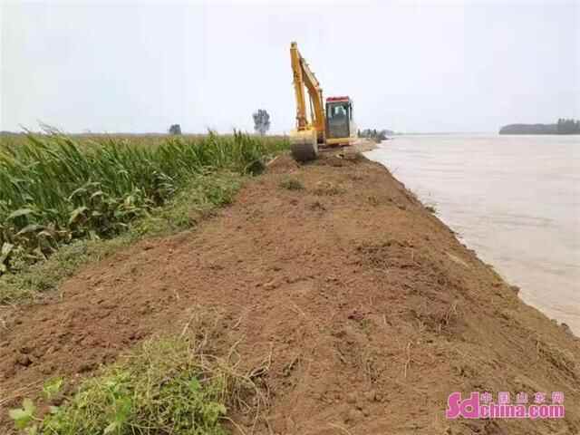 高青县全力以赴防御黄河秋汛洪水