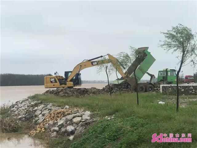 高青县全力以赴防御黄河秋汛洪水