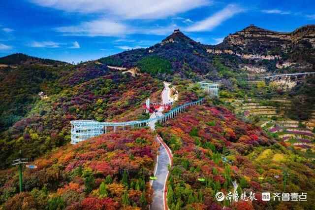 博山红叶柿岩的红叶红了！莫负时光，共赴醉美“柿岩红”