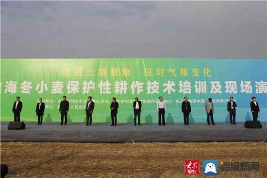 黄淮海冬小麦保护性耕作技术培训及现场演示会在桓台成功举行